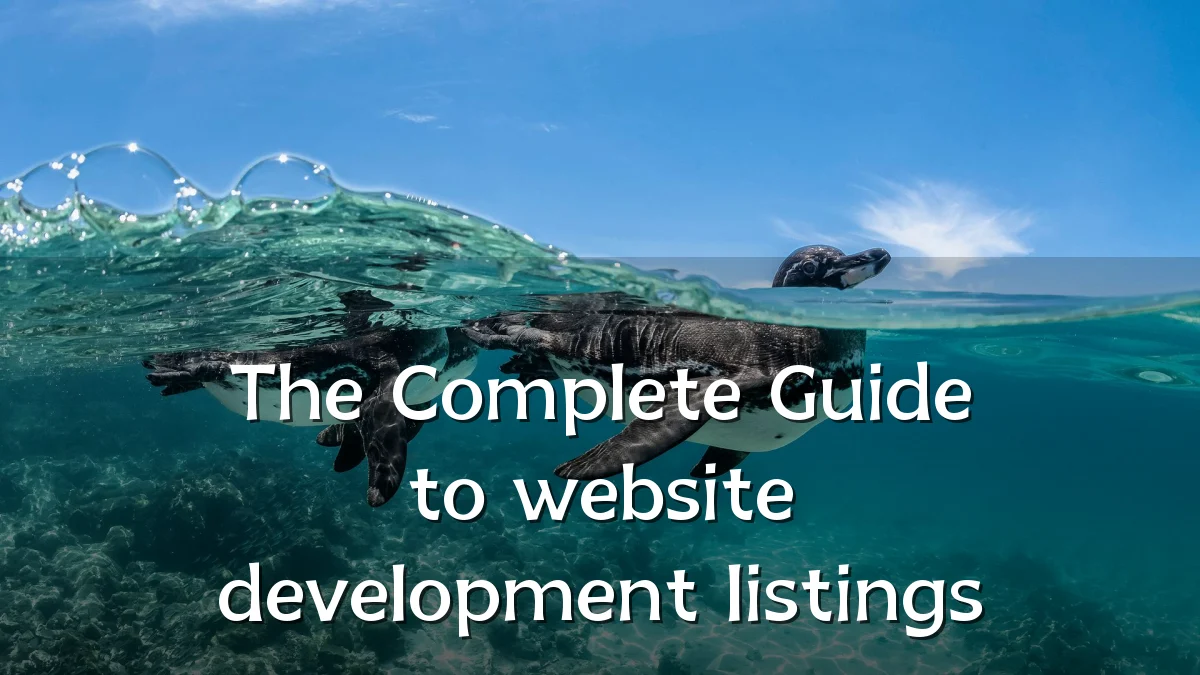 The Complete Guide to website development listings