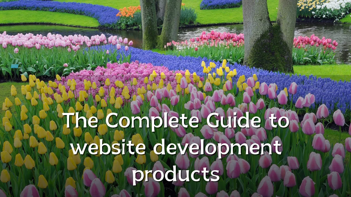 The Complete Guide to website development products