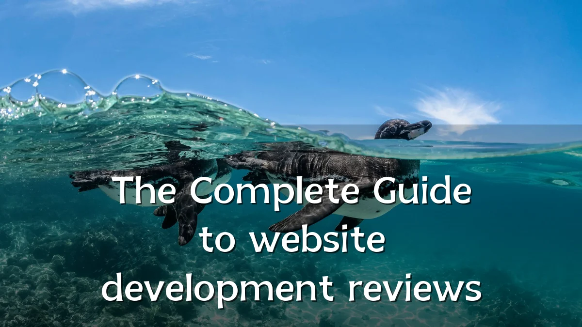 The Complete Guide to website development reviews