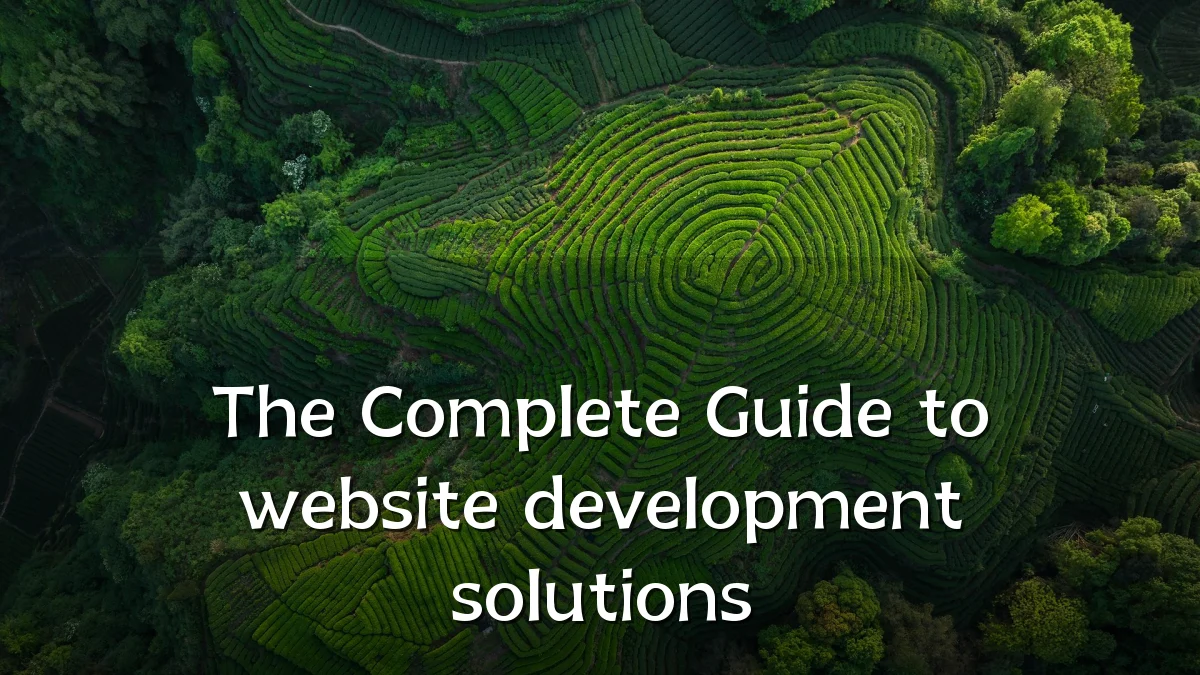 The Complete Guide to website development solutions