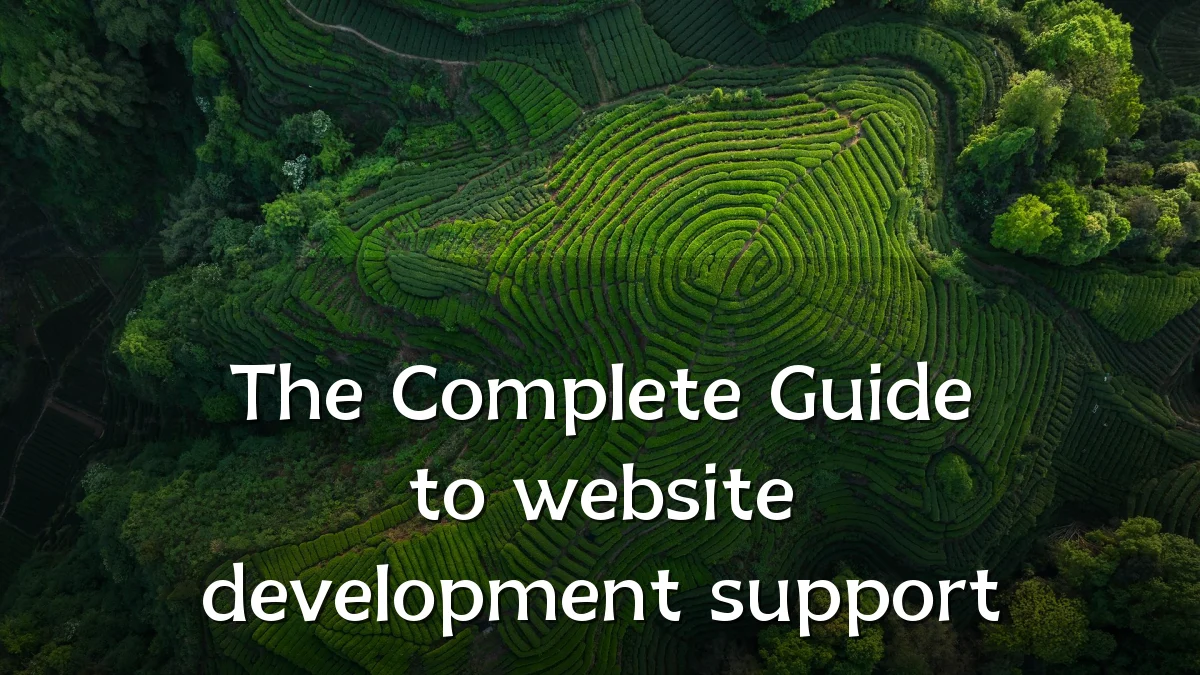 The Complete Guide to website development support