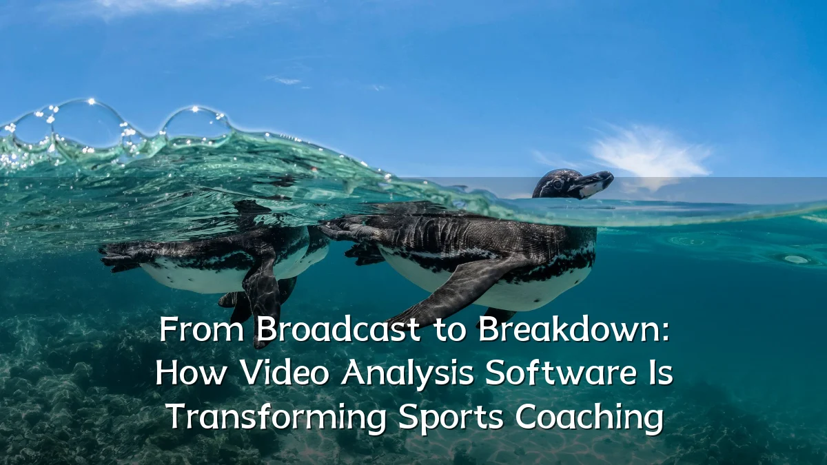 From Broadcast to Breakdown: How Video Analysis Software Is Transforming Sports Coaching