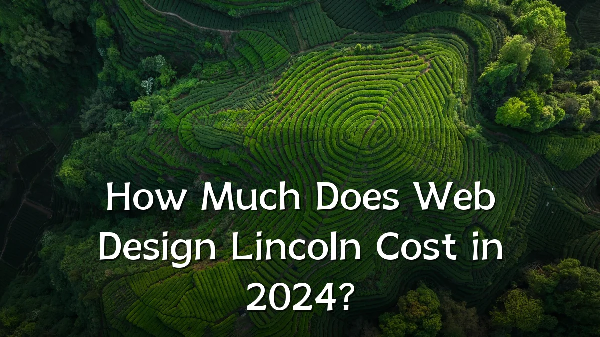 How Much Does Web Design Lincoln Cost in 2024?