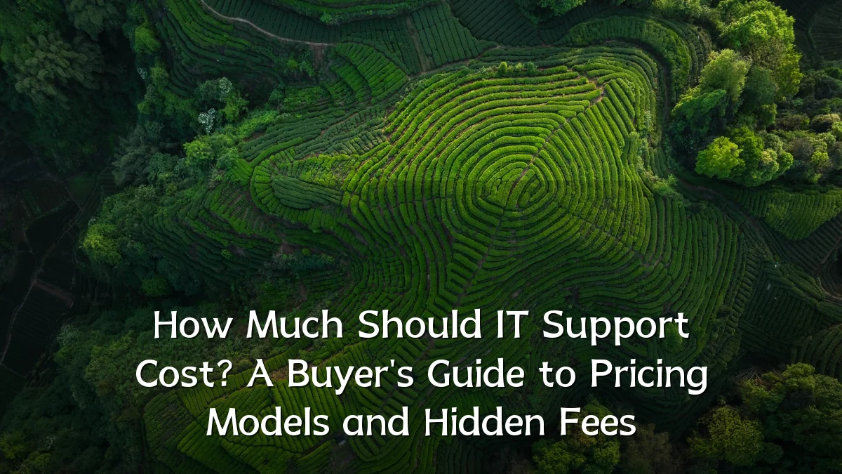 How Much Should IT Support Cost? A Buyer's Guide to Pricing Models and Hidden Fees
