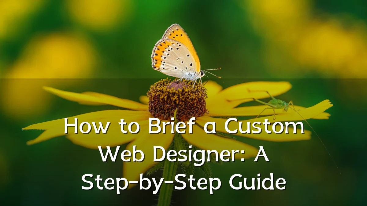 How to Brief a Custom Web Designer: A Step-by-Step Guide
