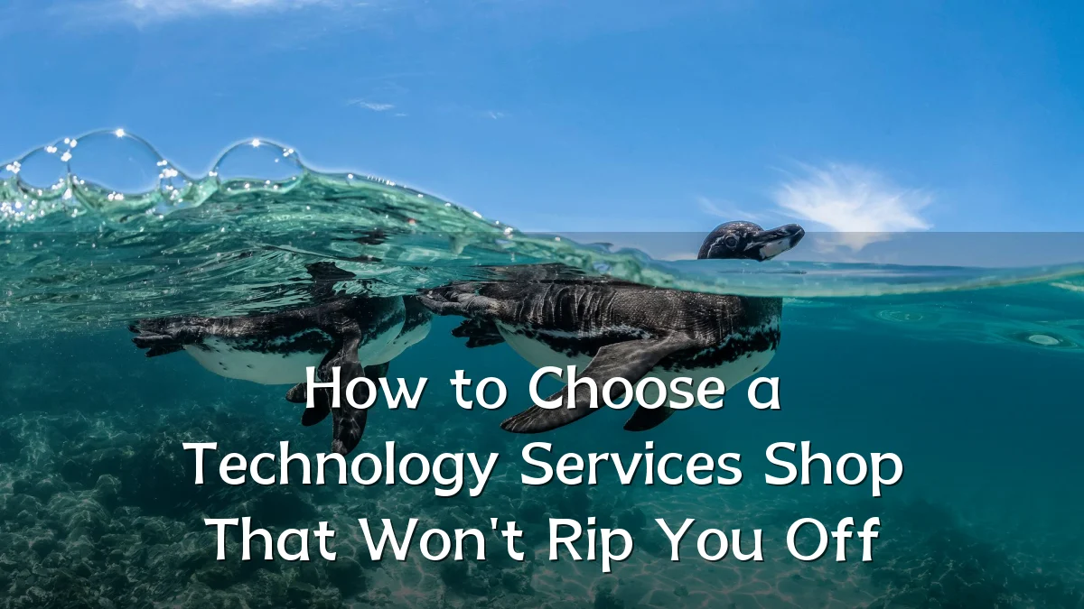 How to Choose a Technology Services Shop That Won't Rip You Off