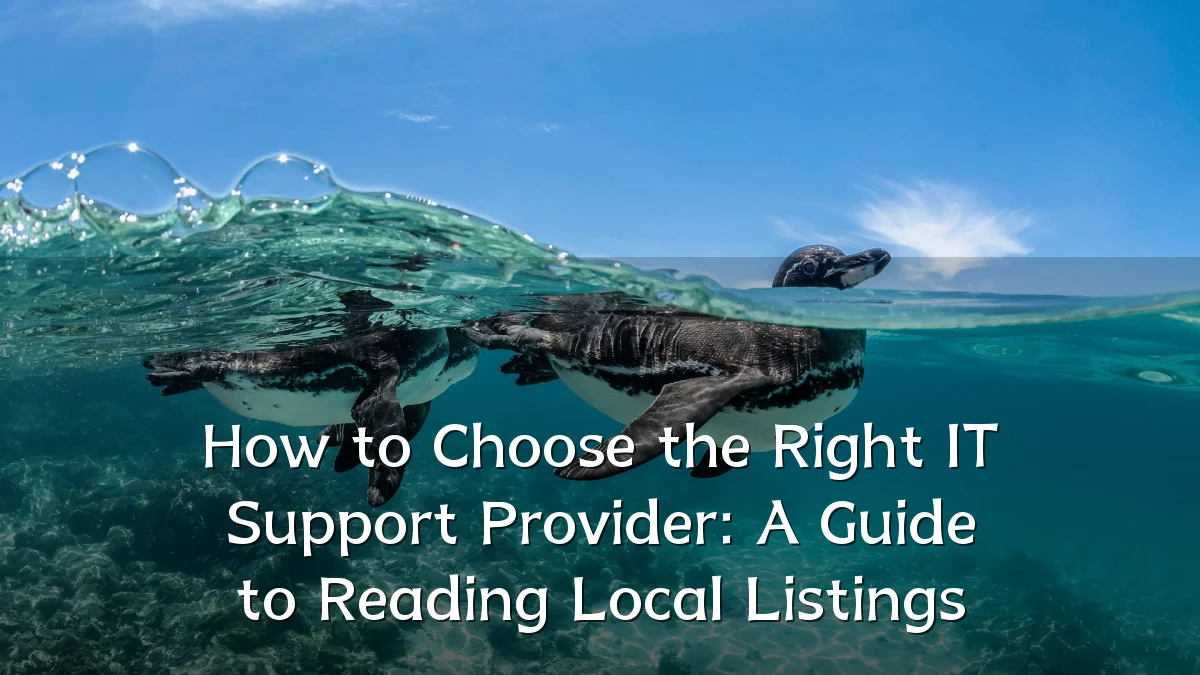 How to Choose the Right IT Support Provider: A Guide to Reading Local Listings