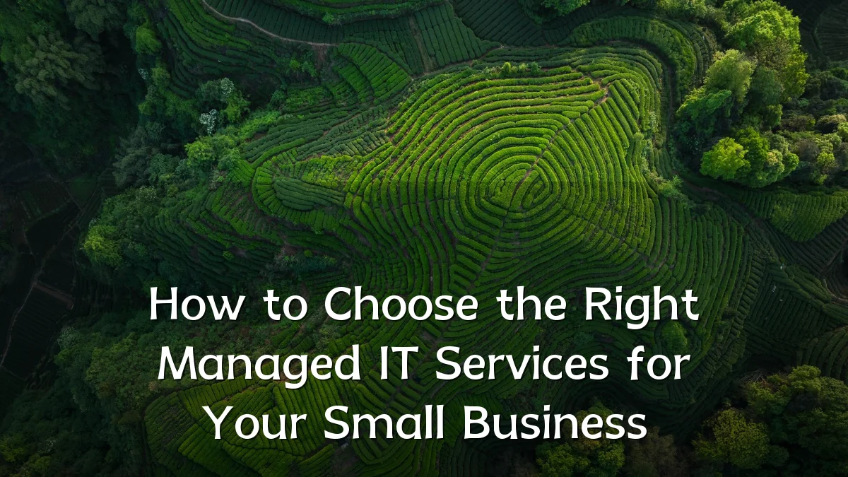 How to Choose the Right Managed IT Services for Your Small Business