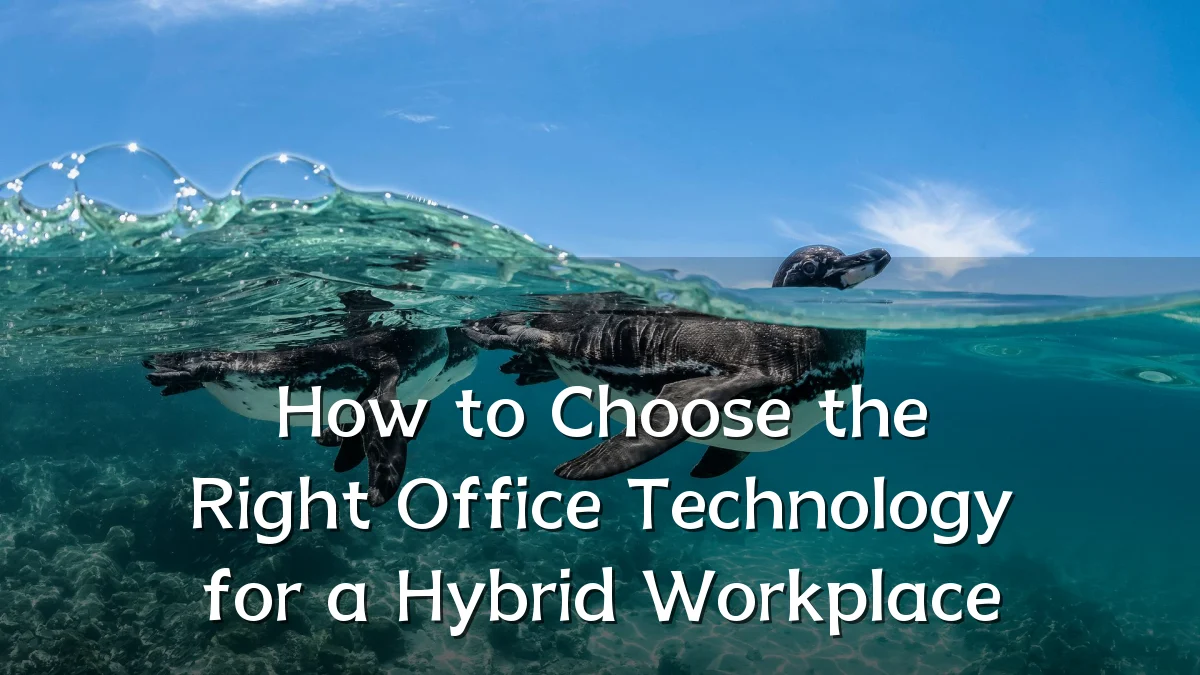 How to Choose the Right Office Technology for a Hybrid Workplace