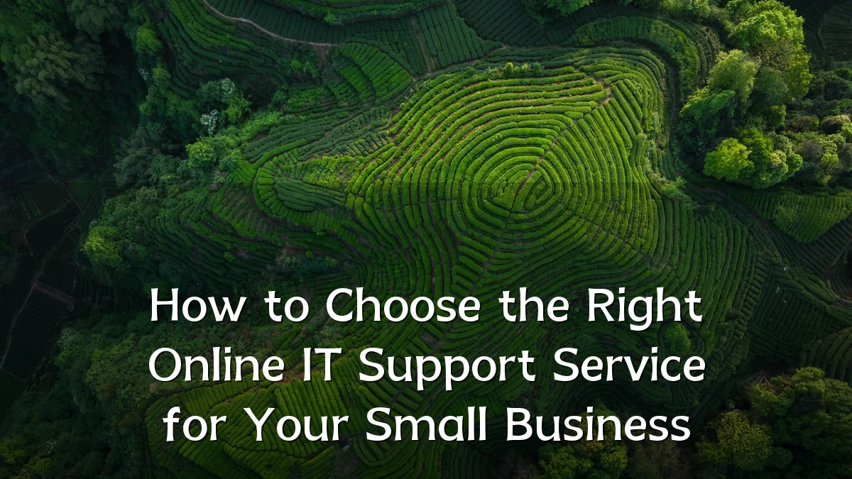 How to Choose the Right Online IT Support Service for Your Small Business
