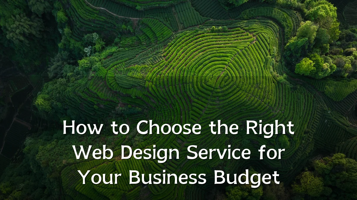 How to Choose the Right Web Design Service for Your Business Budget