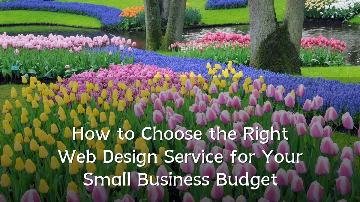 How to Choose the Right Web Design Service for Your Small Business Budget