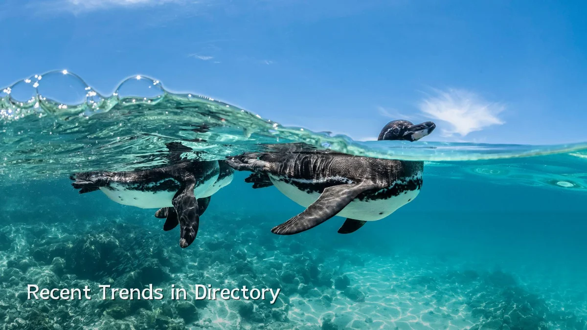 Recent Trends in Directory