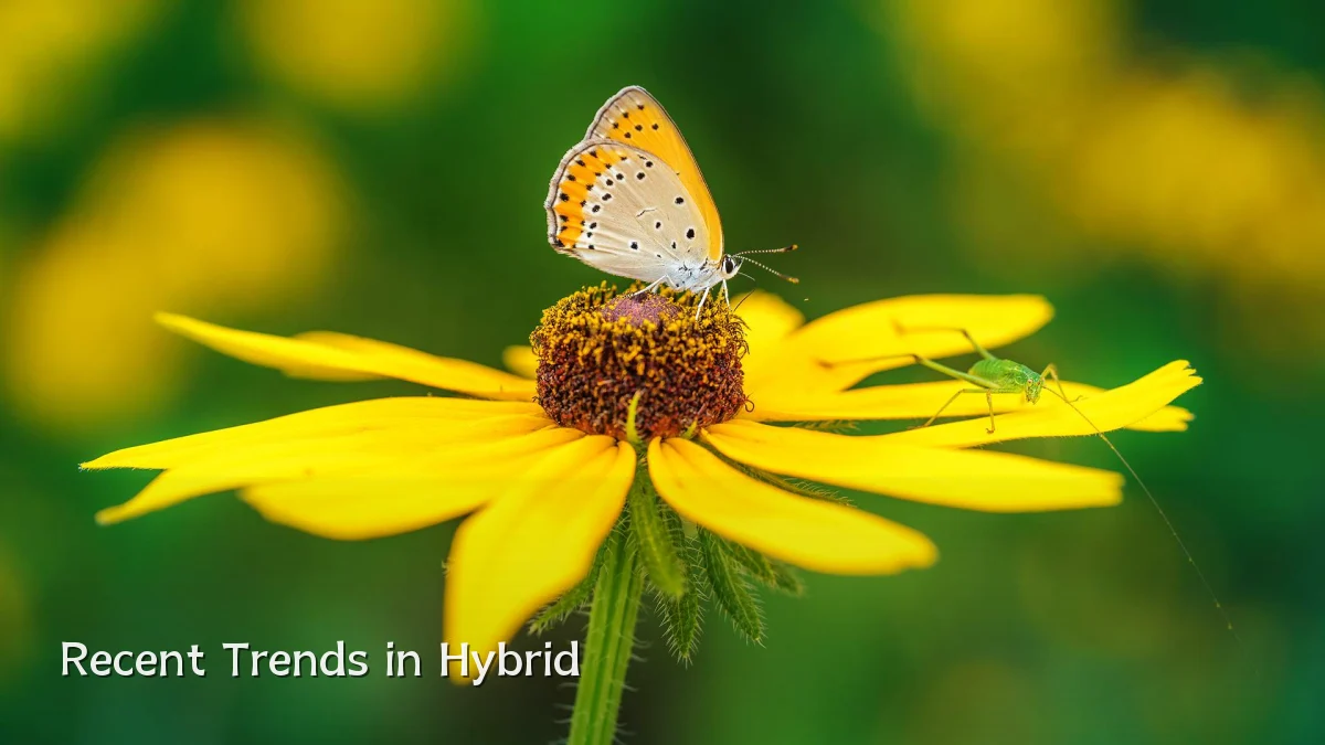 Recent Trends in Hybrid