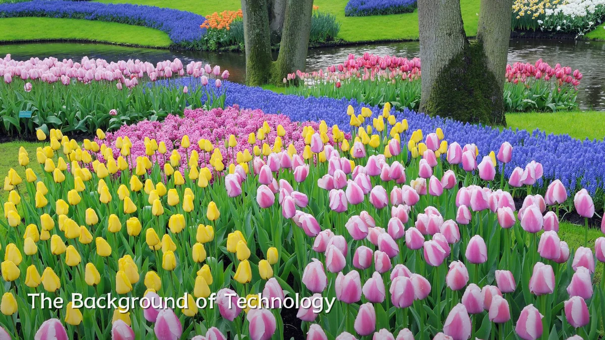 The Background of Technology