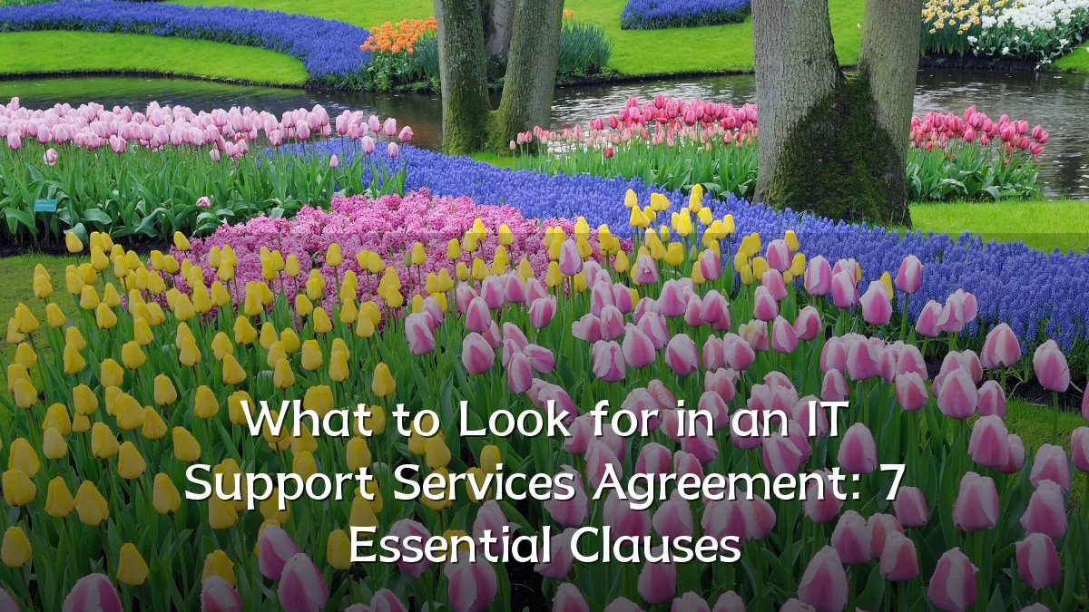 What to Look for in an IT Support Services Agreement: 7 Essential Clauses