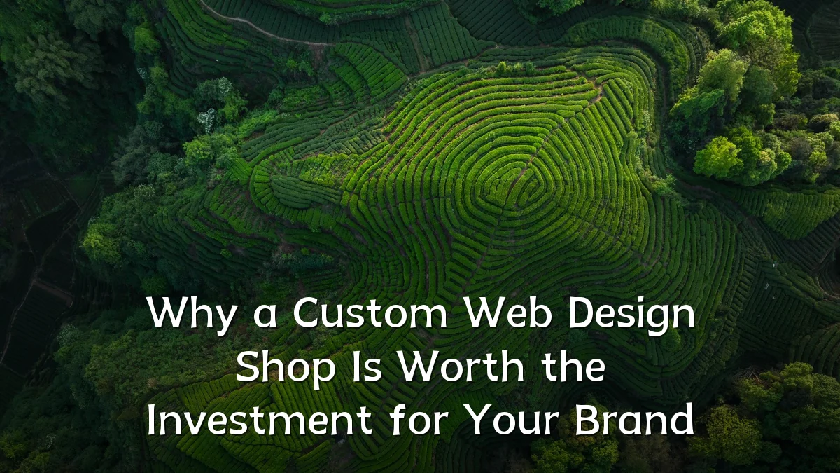 Why a Custom Web Design Shop Is Worth the Investment for Your Brand