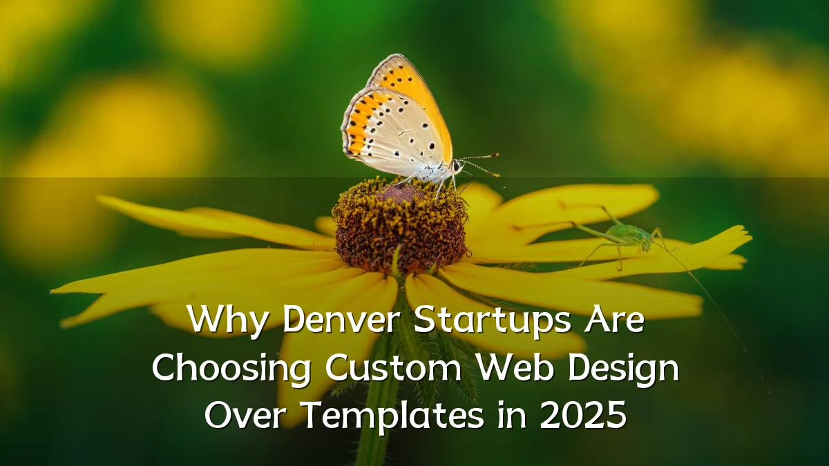 Why Denver Startups Are Choosing Custom Web Design Over Templates in 2025
