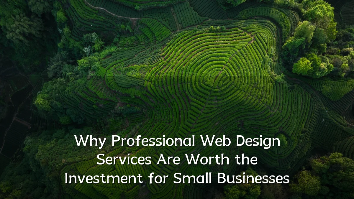 Why Professional Web Design Services Are Worth the Investment for Small Businesses