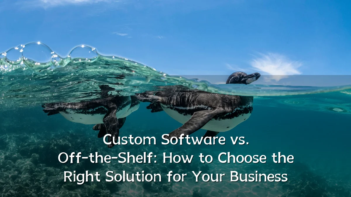 Custom Software vs. Off-the-Shelf: How to Choose the Right Solution for Your Business