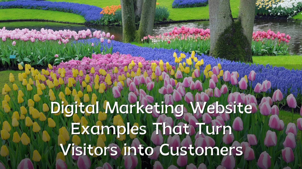 Digital Marketing Website Examples That Turn Visitors into Customers
