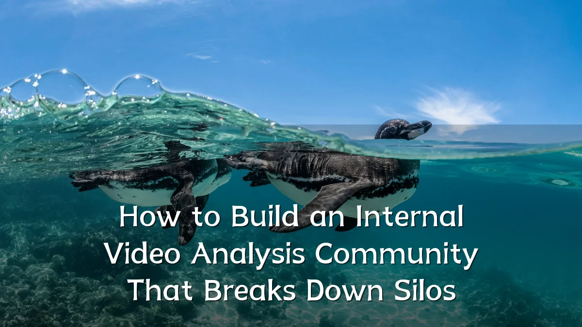 How to Build an Internal Video Analysis Community That Breaks Down Silos