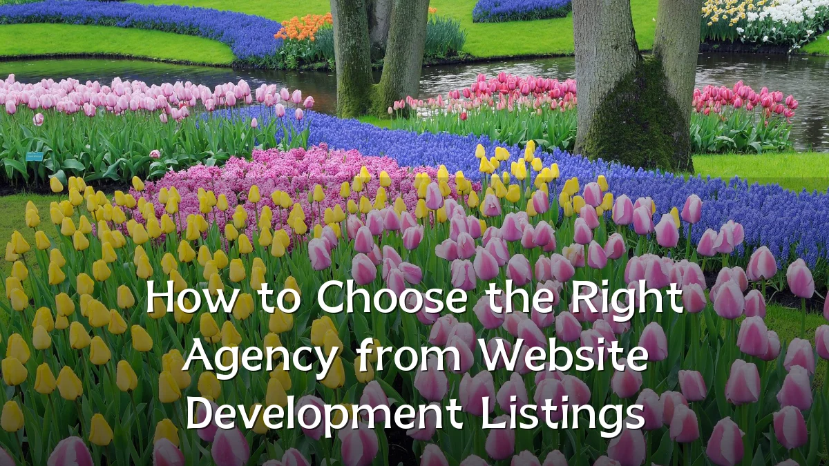 How to Choose the Right Agency from Website Development Listings