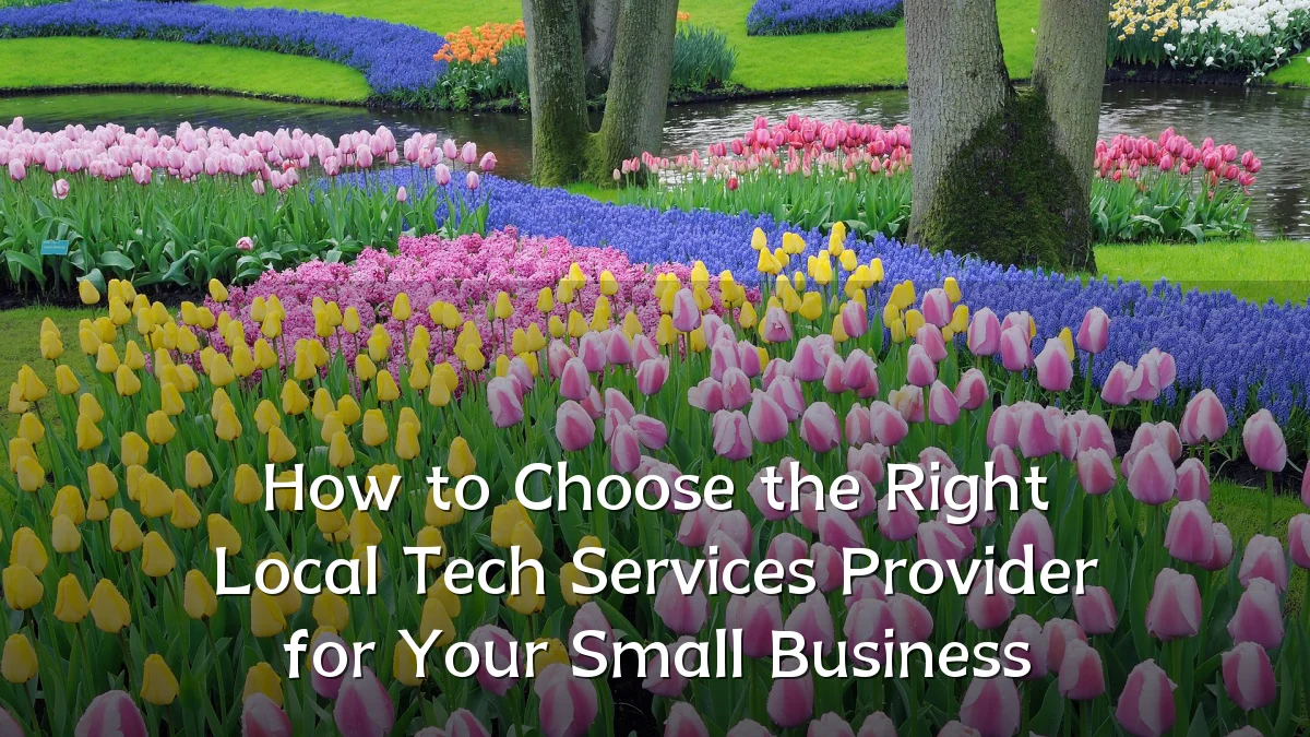 How to Choose the Right Local Tech Services Provider for Your Small Business