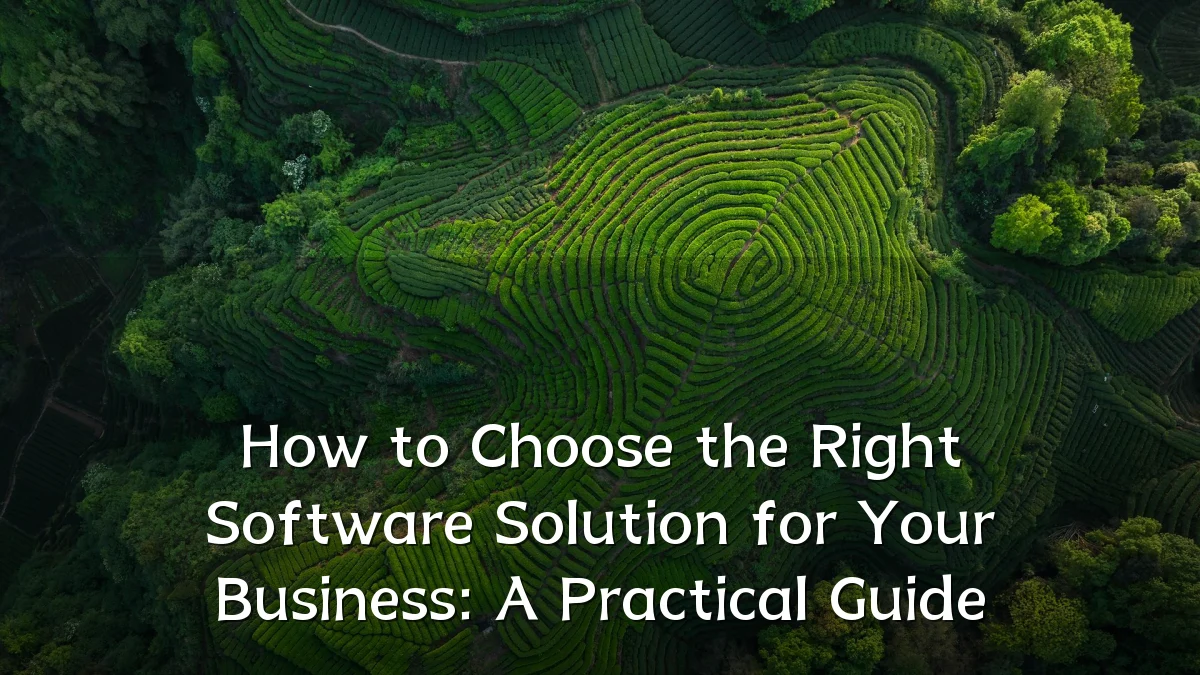 How to Choose the Right Software Solution for Your Business: A Practical Guide