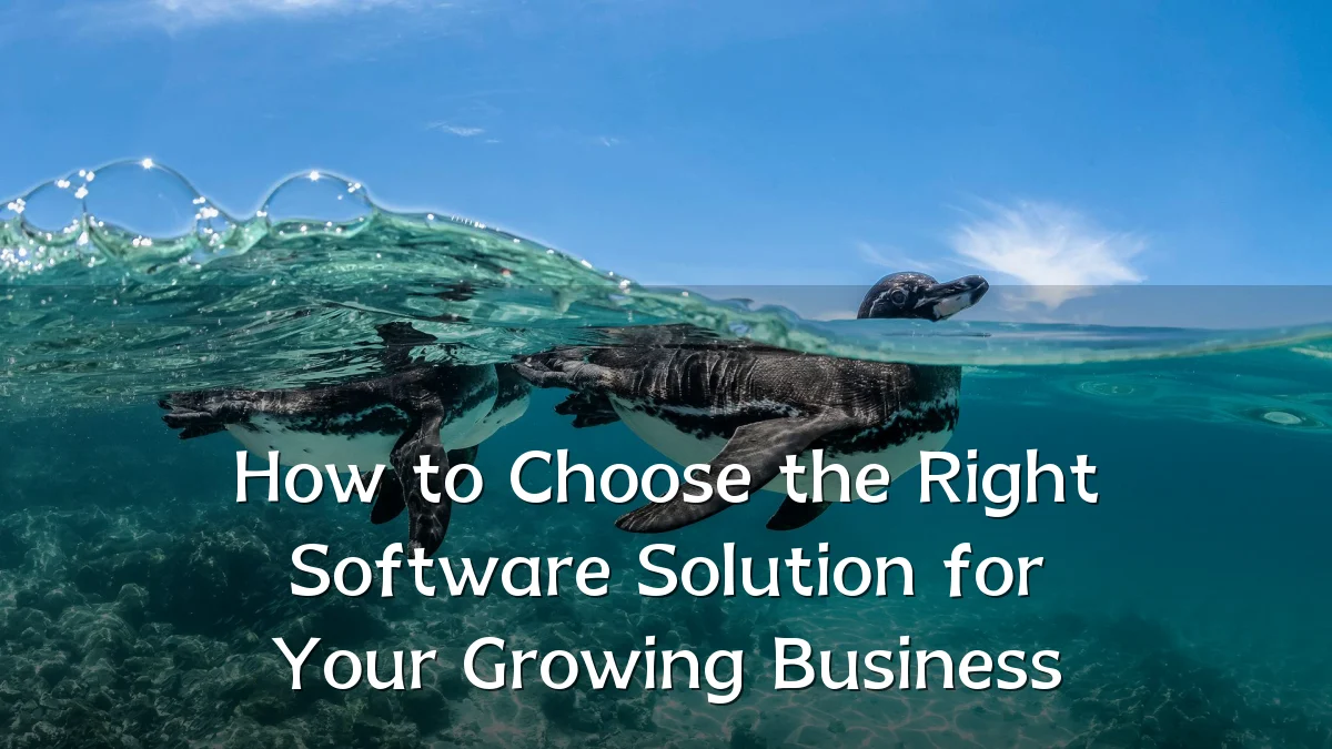 How to Choose the Right Software Solution for Your Growing Business