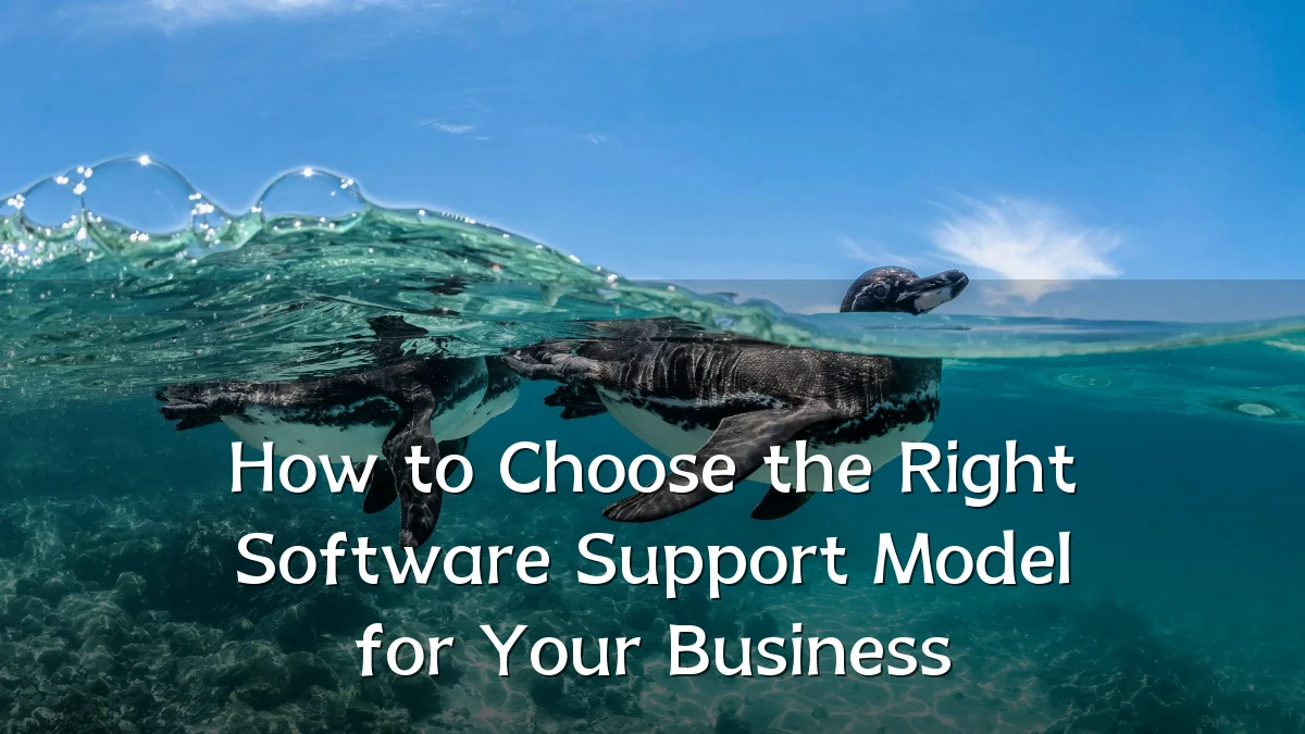 How to Choose the Right Software Support Model for Your Business