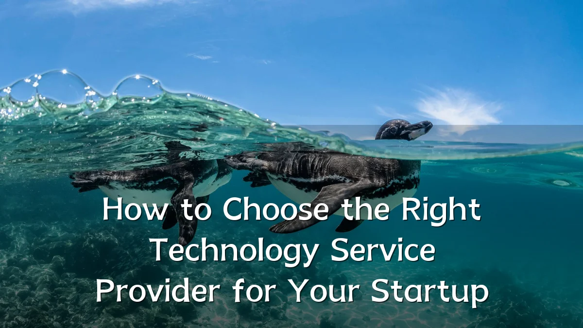How to Choose the Right Technology Service Provider for Your Startup