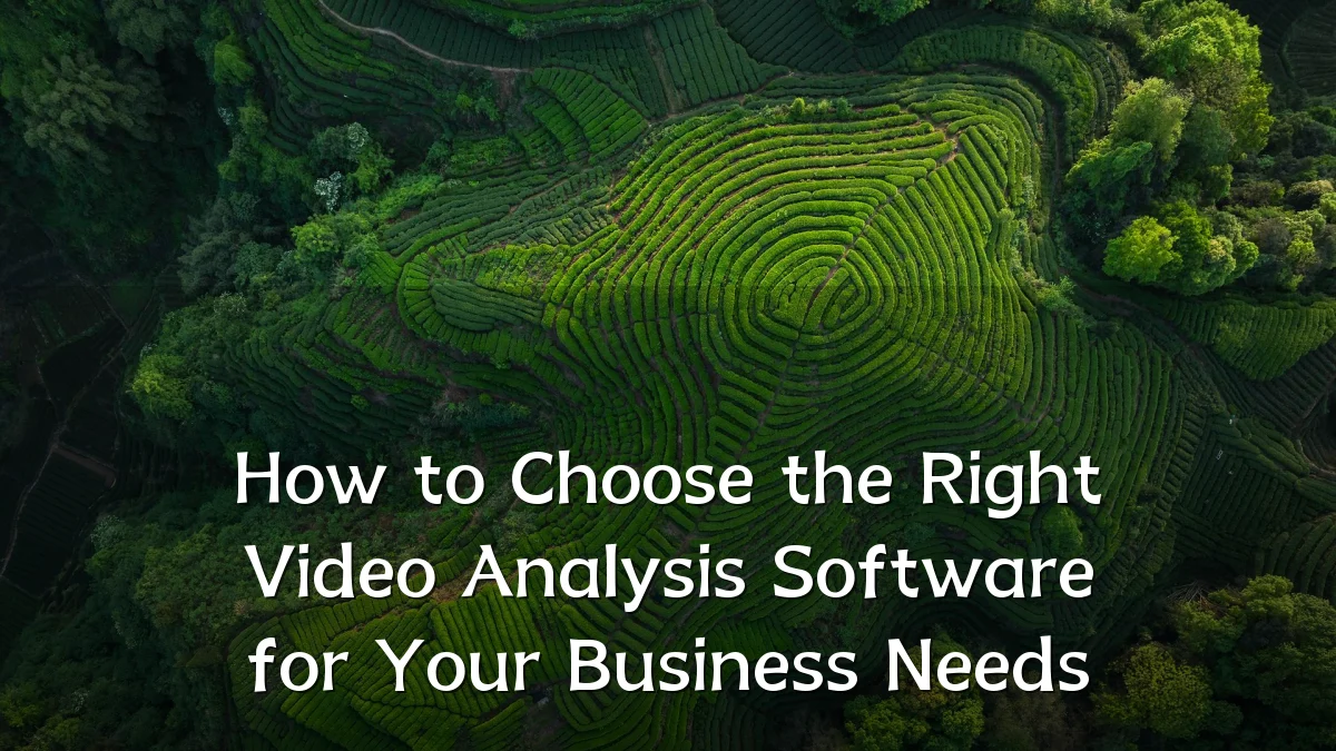 How to Choose the Right Video Analysis Software for Your Business Needs