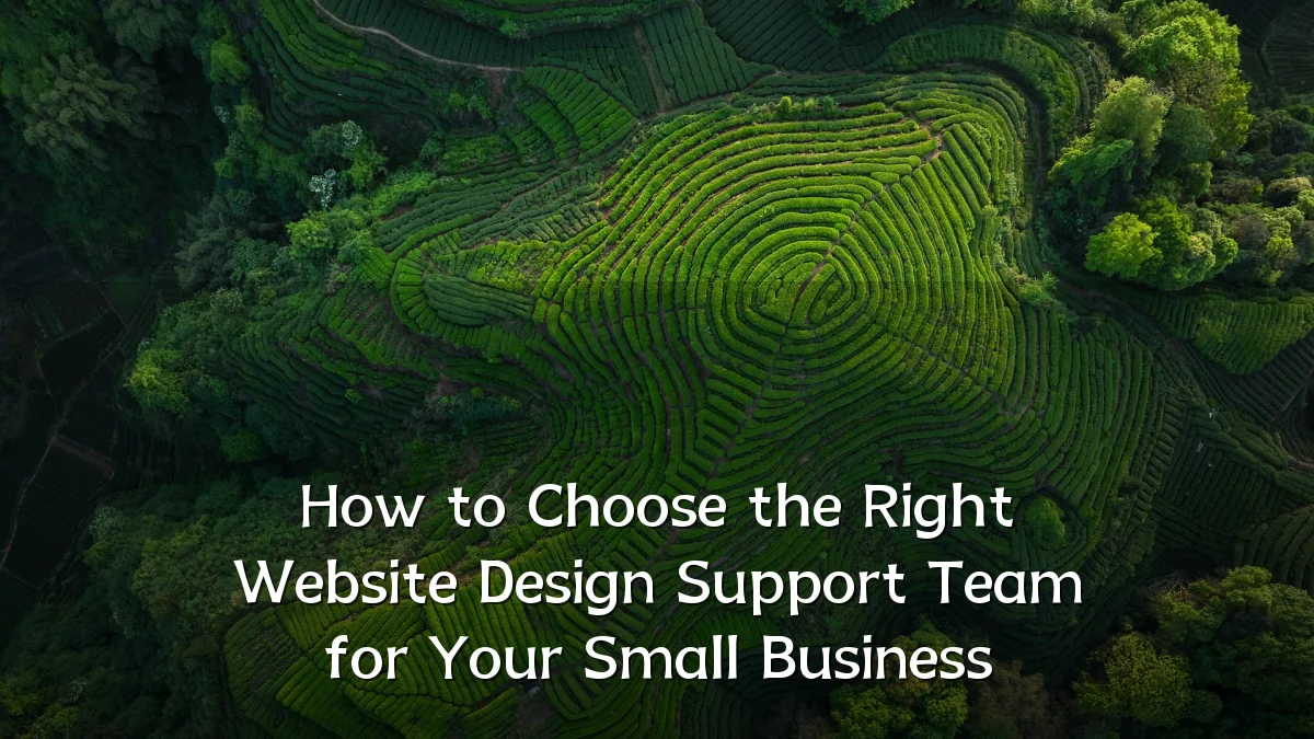 How to Choose the Right Website Design Support Team for Your Small Business