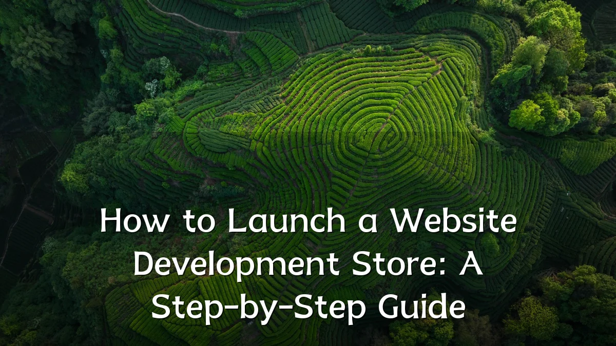 How to Launch a Website Development Store: A Step-by-Step Guide
