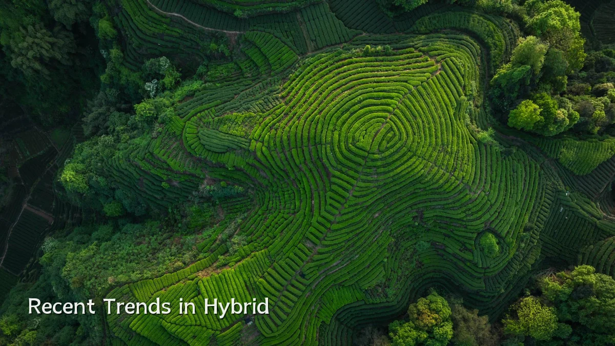 Recent Trends in Hybrid