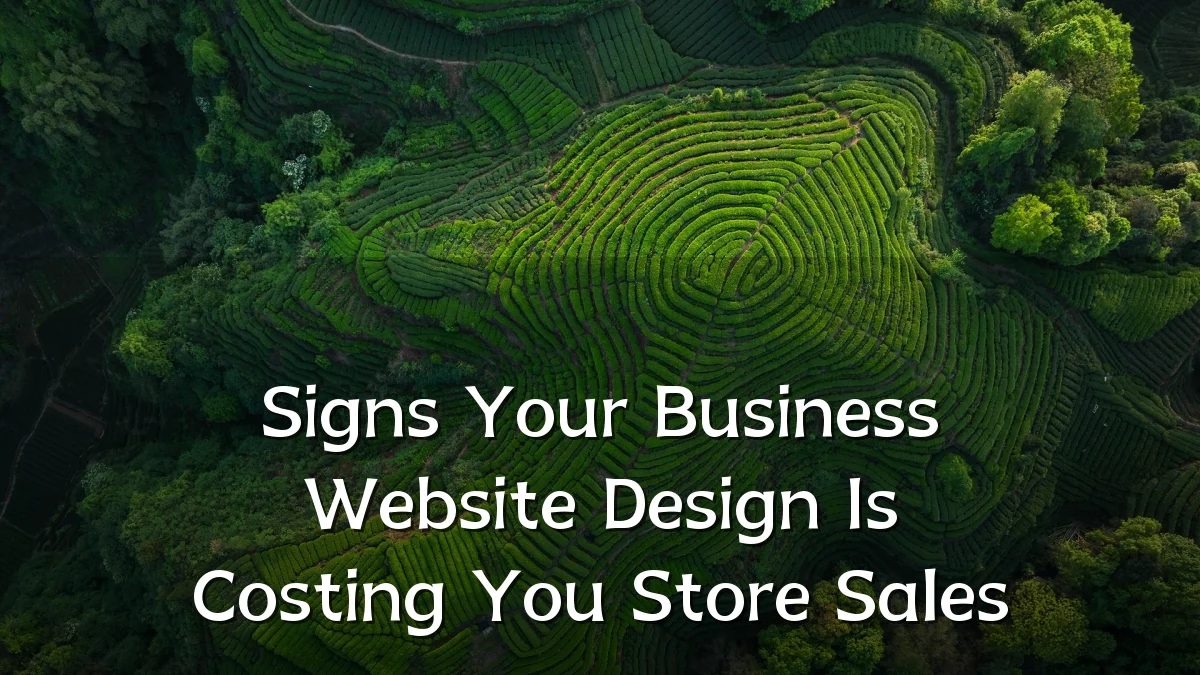 Signs Your Business Website Design Is Costing You Store Sales