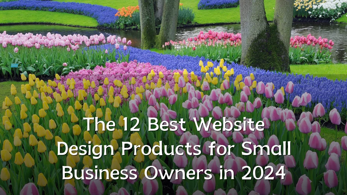 The 12 Best Website Design Products for Small Business Owners in 2024