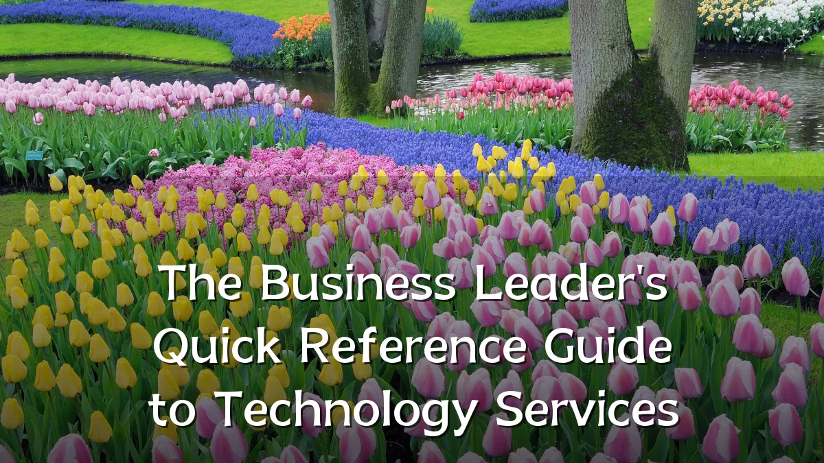 The Business Leader's Quick Reference Guide to Technology Services