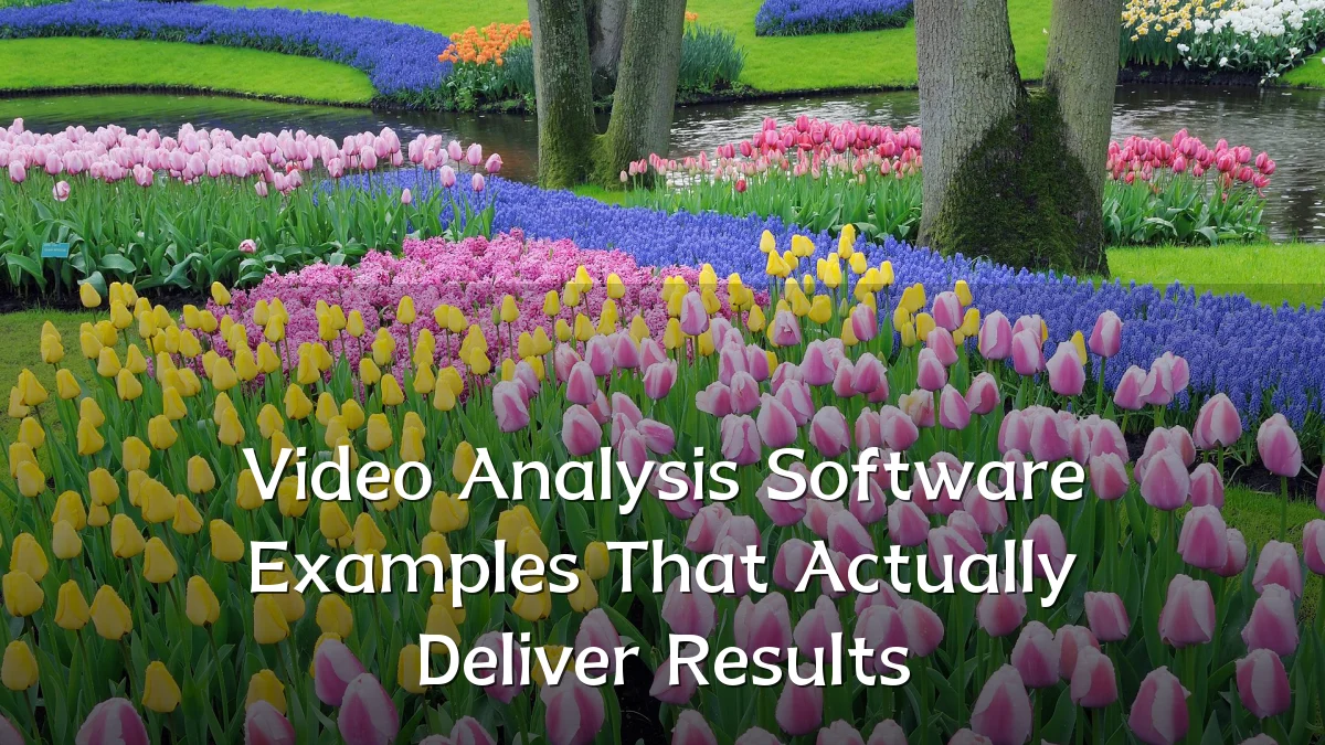 Video Analysis Software Examples That Actually Deliver Results